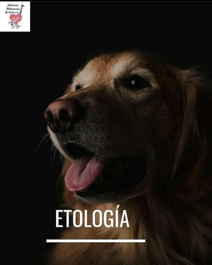 Etología
