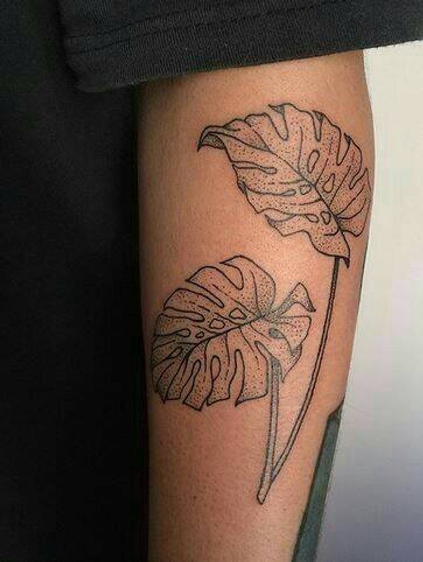 Moda tatto planta Costela de Adão 🍃