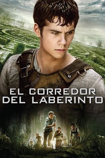 The Maze Runner