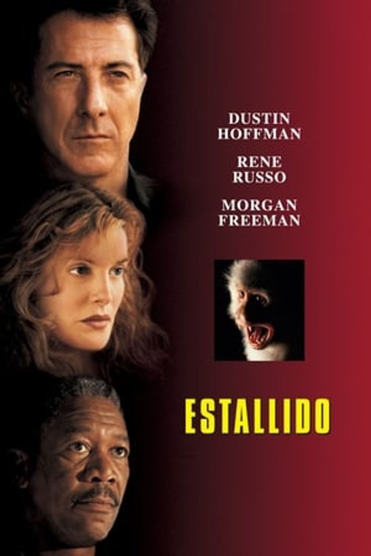 Película Estallido