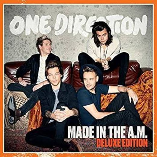 Made in the A.M. - One Direction 