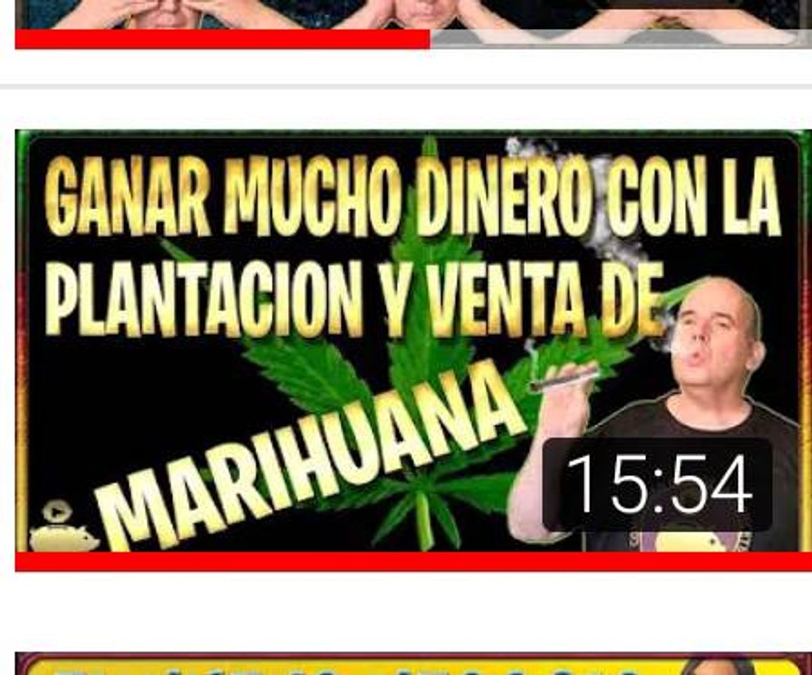 Fashion Como Ganar Dinero con la Plantación y Venta de Marihuana 