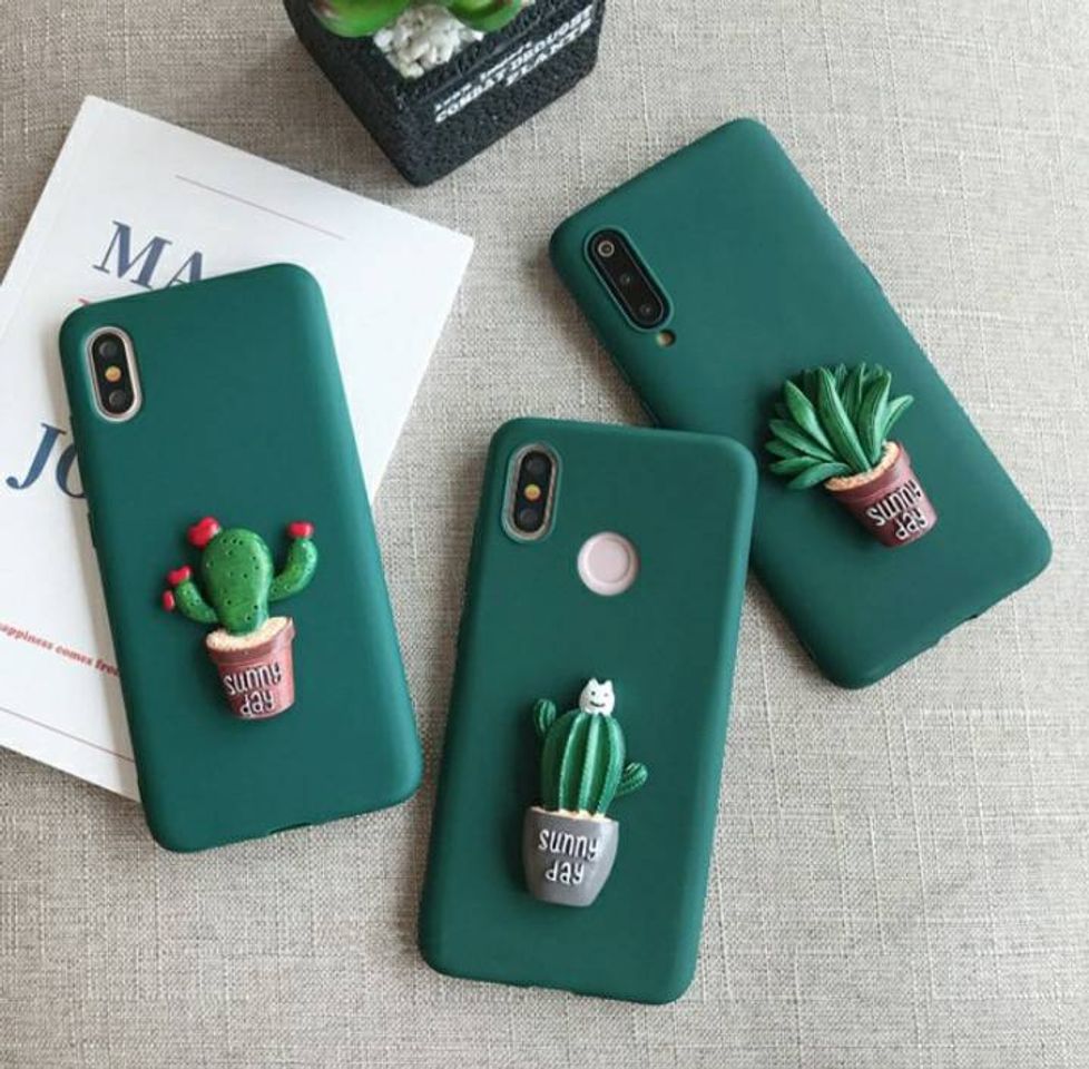 Fashion Cactos.🌵