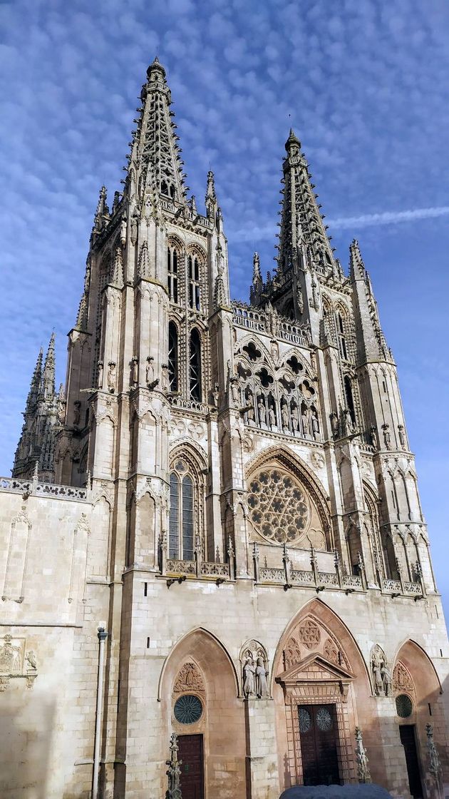 Lugar Catedral de Burgos