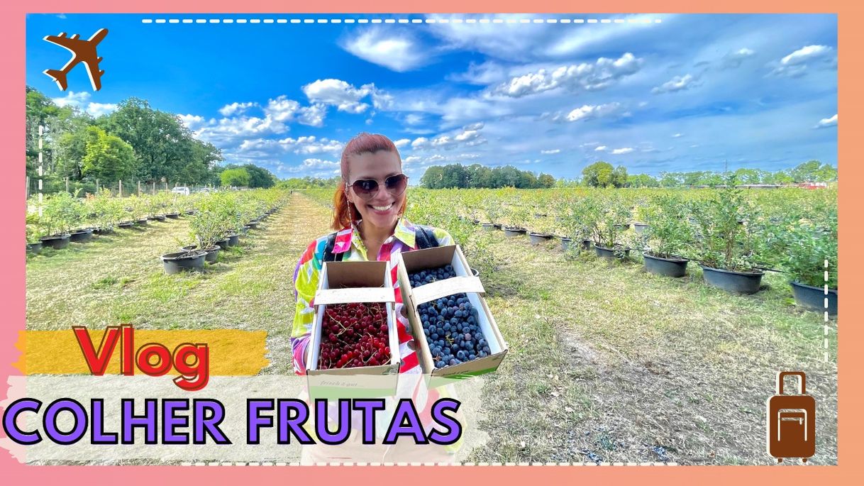 Social Colhendo fruta na Alemanha 🇩🇪 