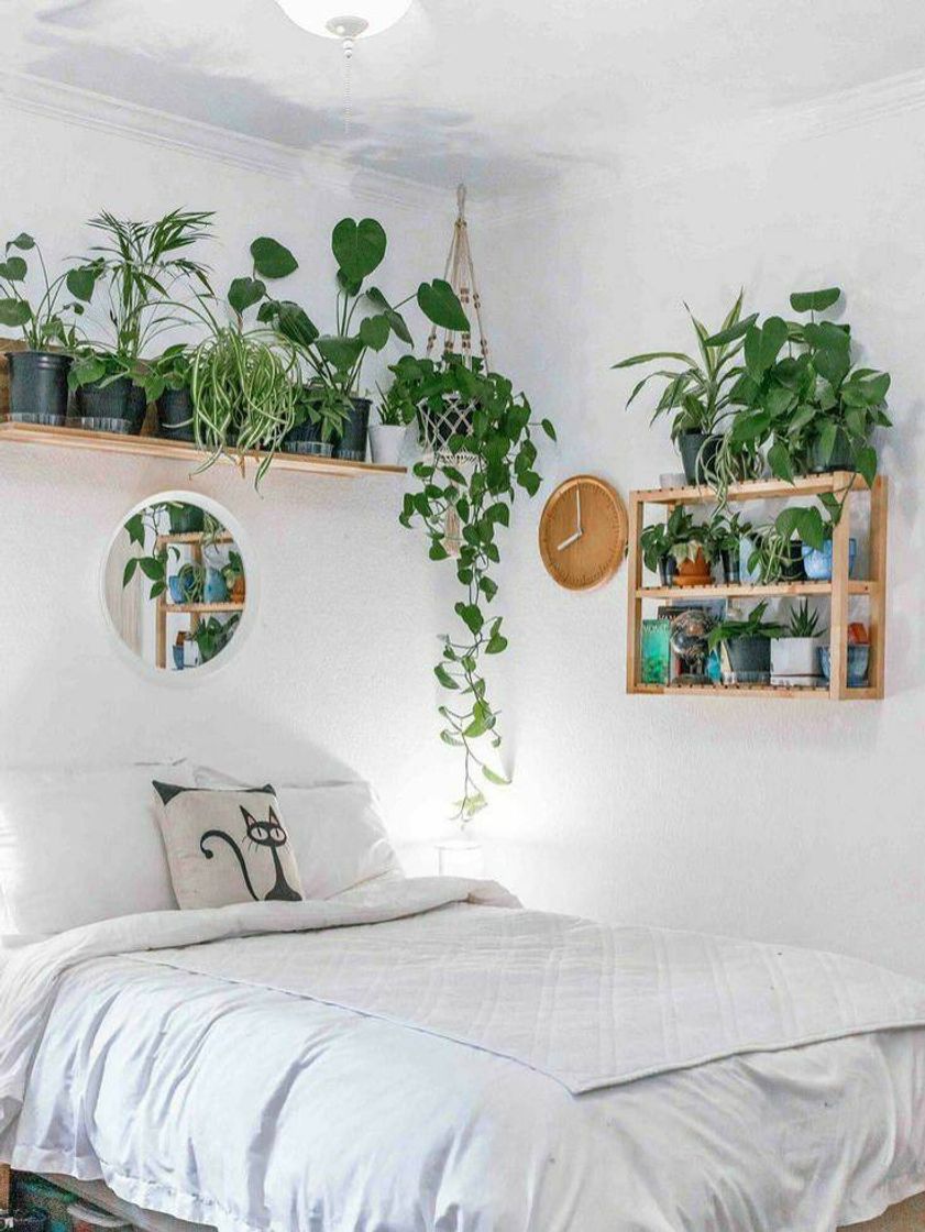 Moda Quarto com Plantas