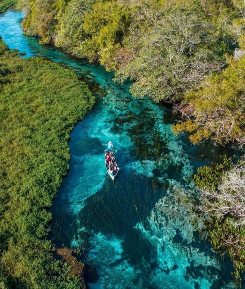 Lugar Rio Sucuri Ecoturismo Bonito MS