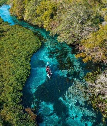 Rio Sucuri Ecoturismo Bonito MS