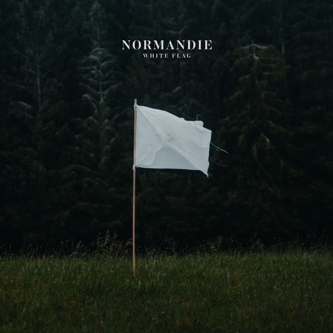 Music White Flag