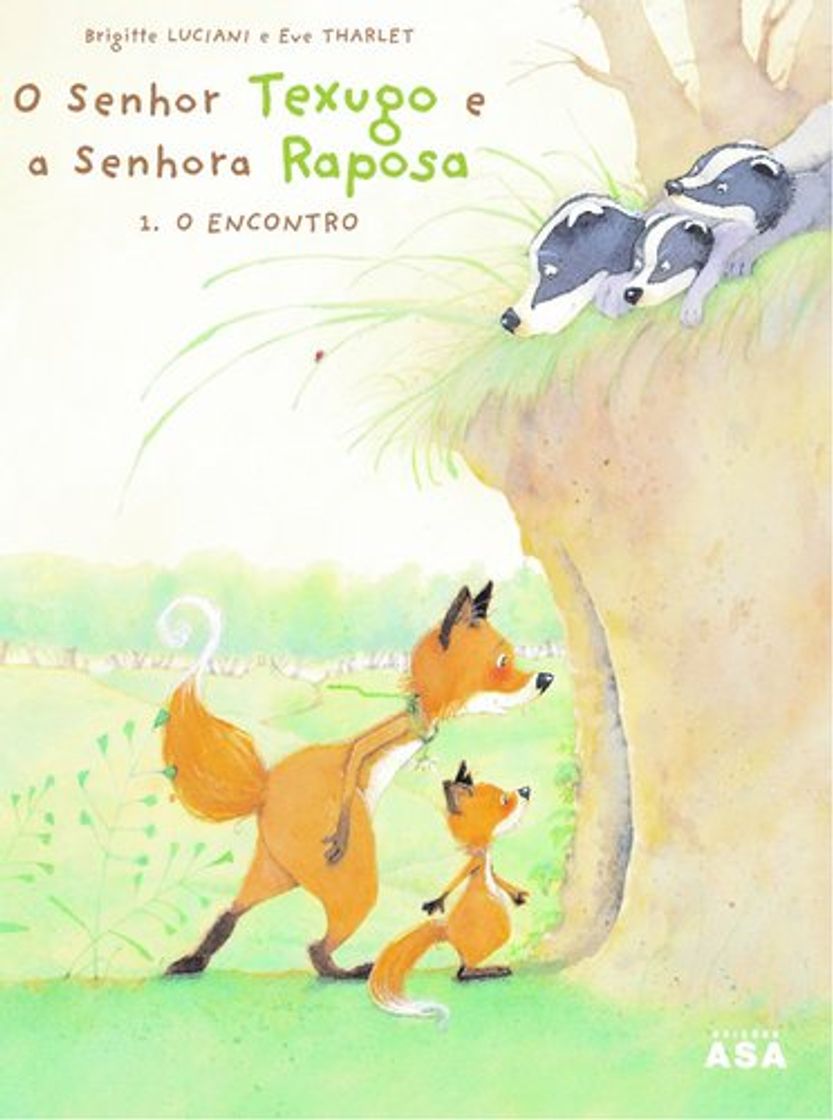 Book O Senhor Texugo E A Senhora Raposa
