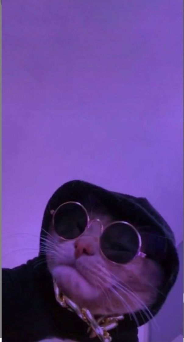 Social Wallpaper 