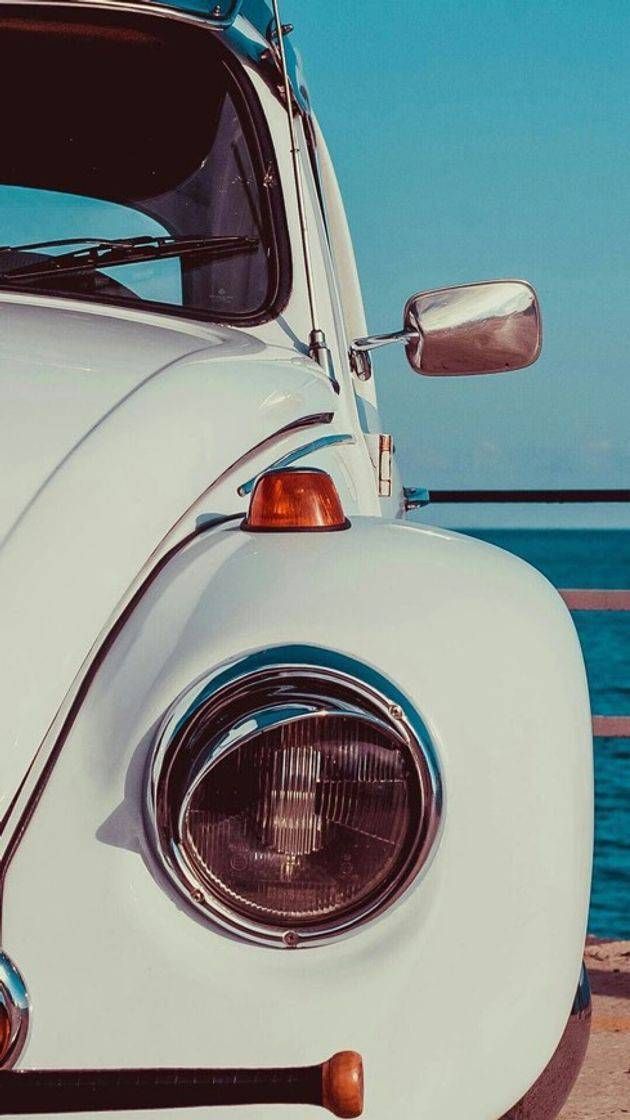 Social Fusca blu💎