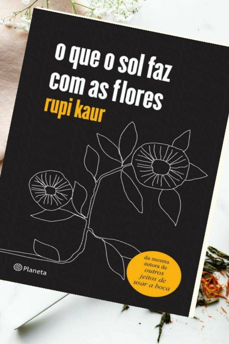 Fashion Bons livros