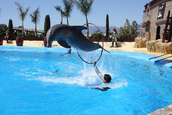 Place Mundomar Benidorm