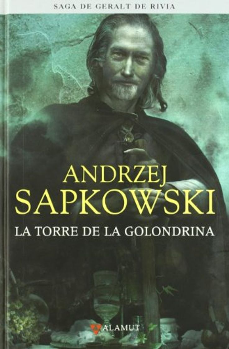 Book Torre de la golondrina - Saga Geralt de Rivia 6 tela