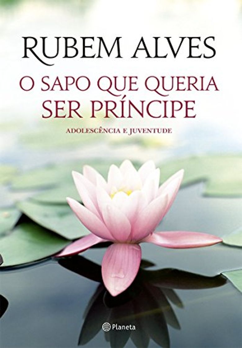 Book O Sapo que Queria Ser Principe