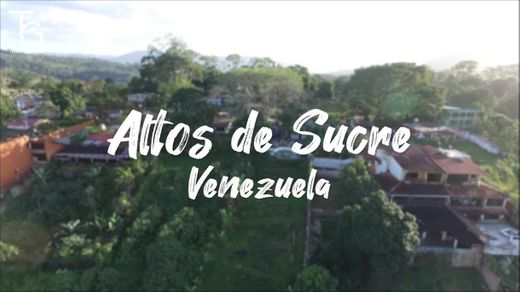Viaje rápido: Los Altos de Sucre | Tierra de Gracia - YouTube