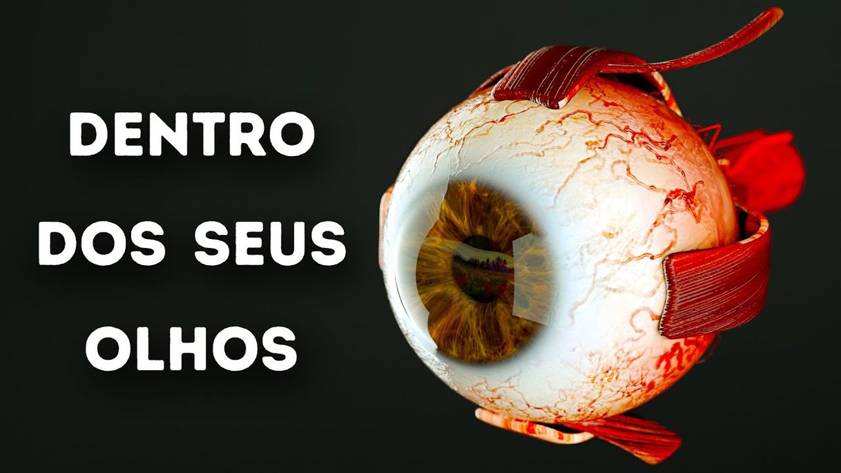 Moda O Que Acontece Dentro Dos Seus Olhos - YouTube