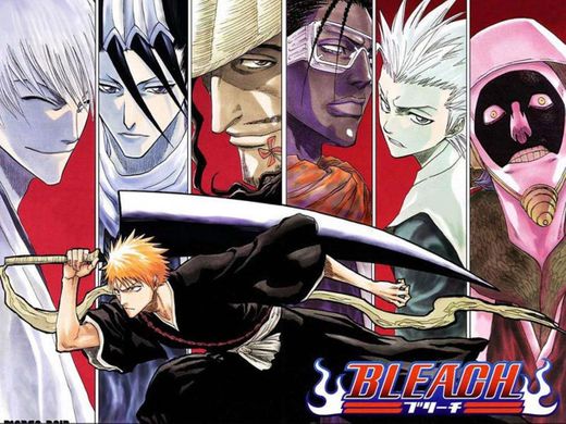 Bleach!! Poderes espituales, espadas y pucho más