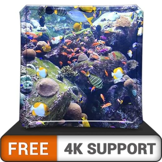 Acuario HD de belleza acuática gratis
