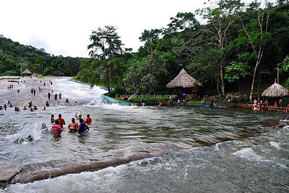 Moda Tubogan de la selva