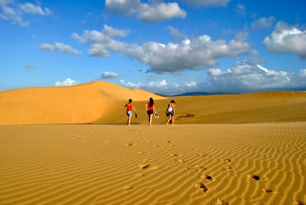 Moda Medanos de coro