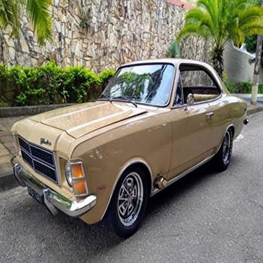 Opala