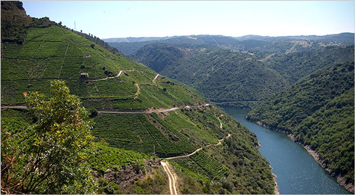 Place LA RIBEIRA SACRA
