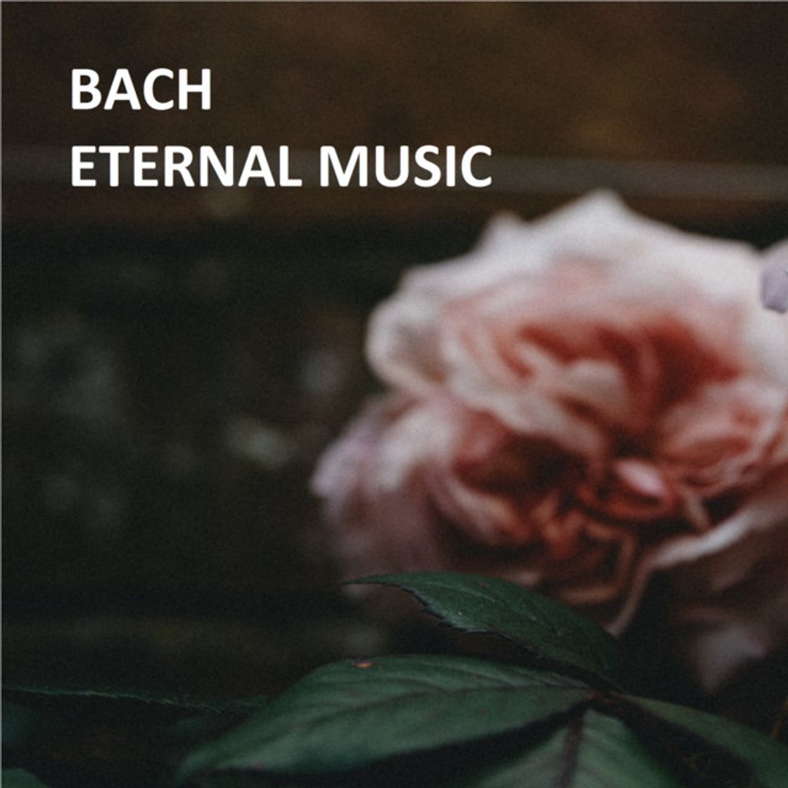 Music The Well-Tempered Clavier: Book 1, BWV 846-869: 1. Prelude