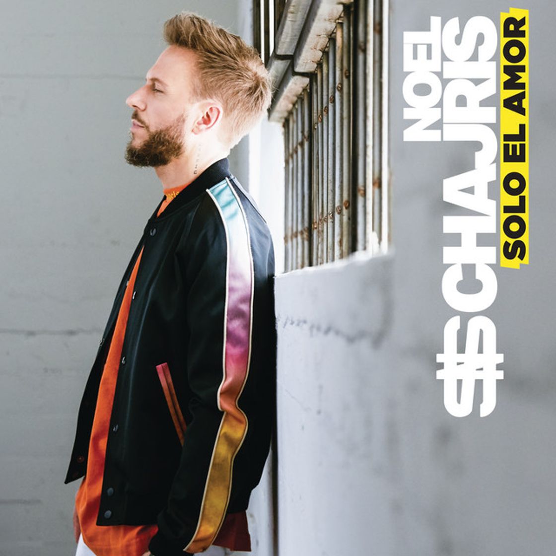 Canción Sólo el Amor