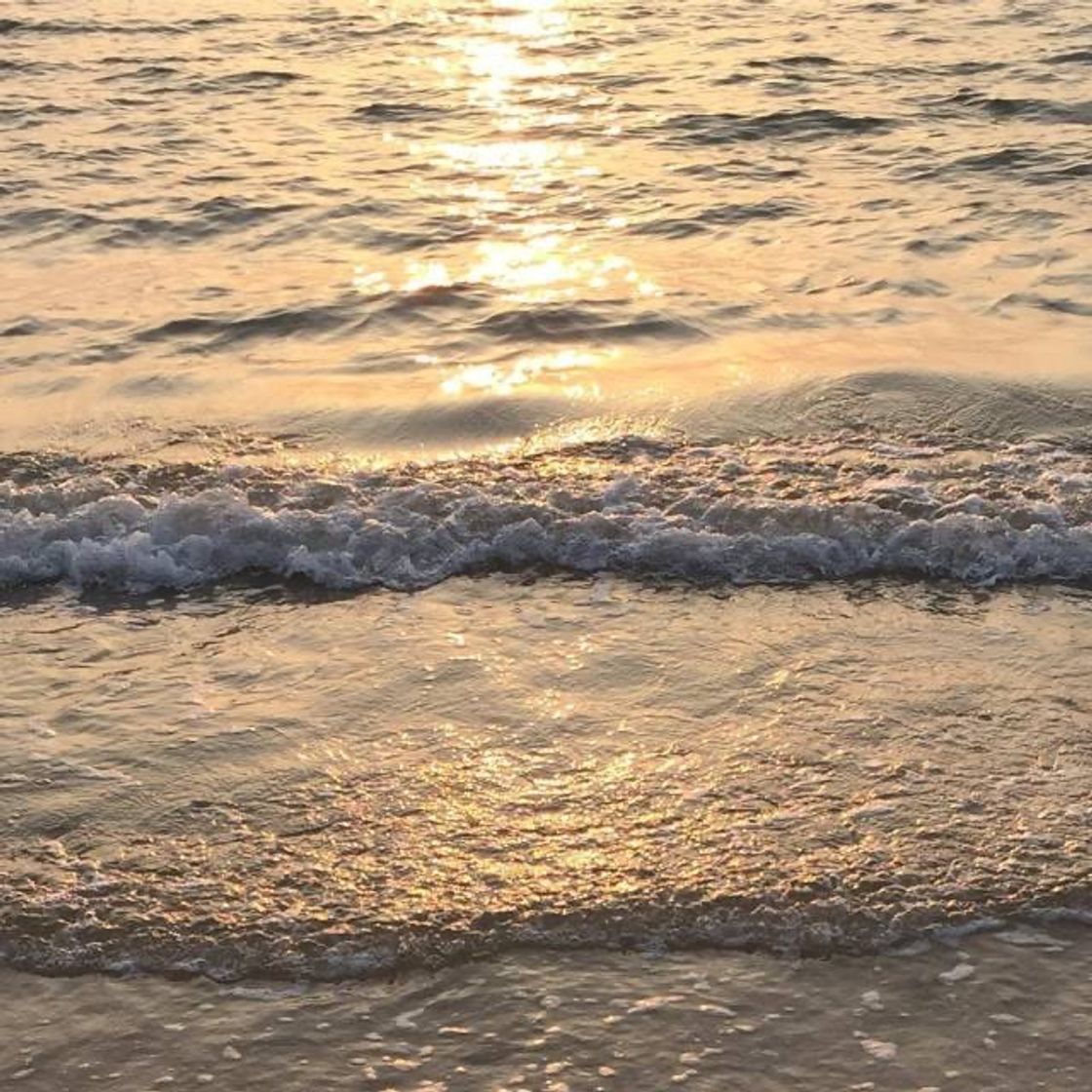 Social 𝑆𝑢𝑚𝑚𝑒𝑟 