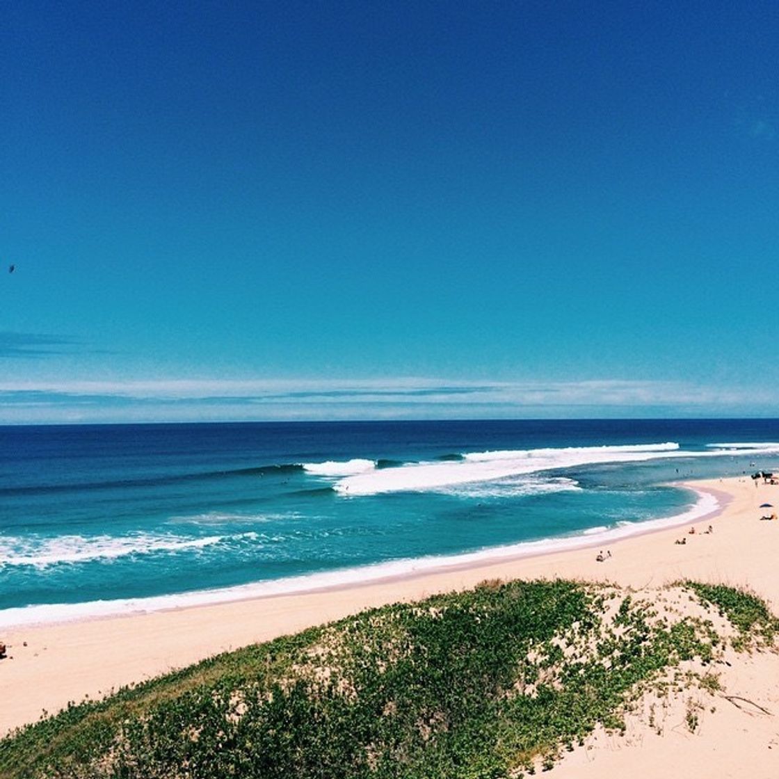 Social 𝑆𝑢𝑚𝑚𝑒𝑟 