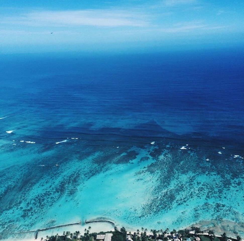 Social 𝑆𝑢𝑚𝑚𝑒𝑟 