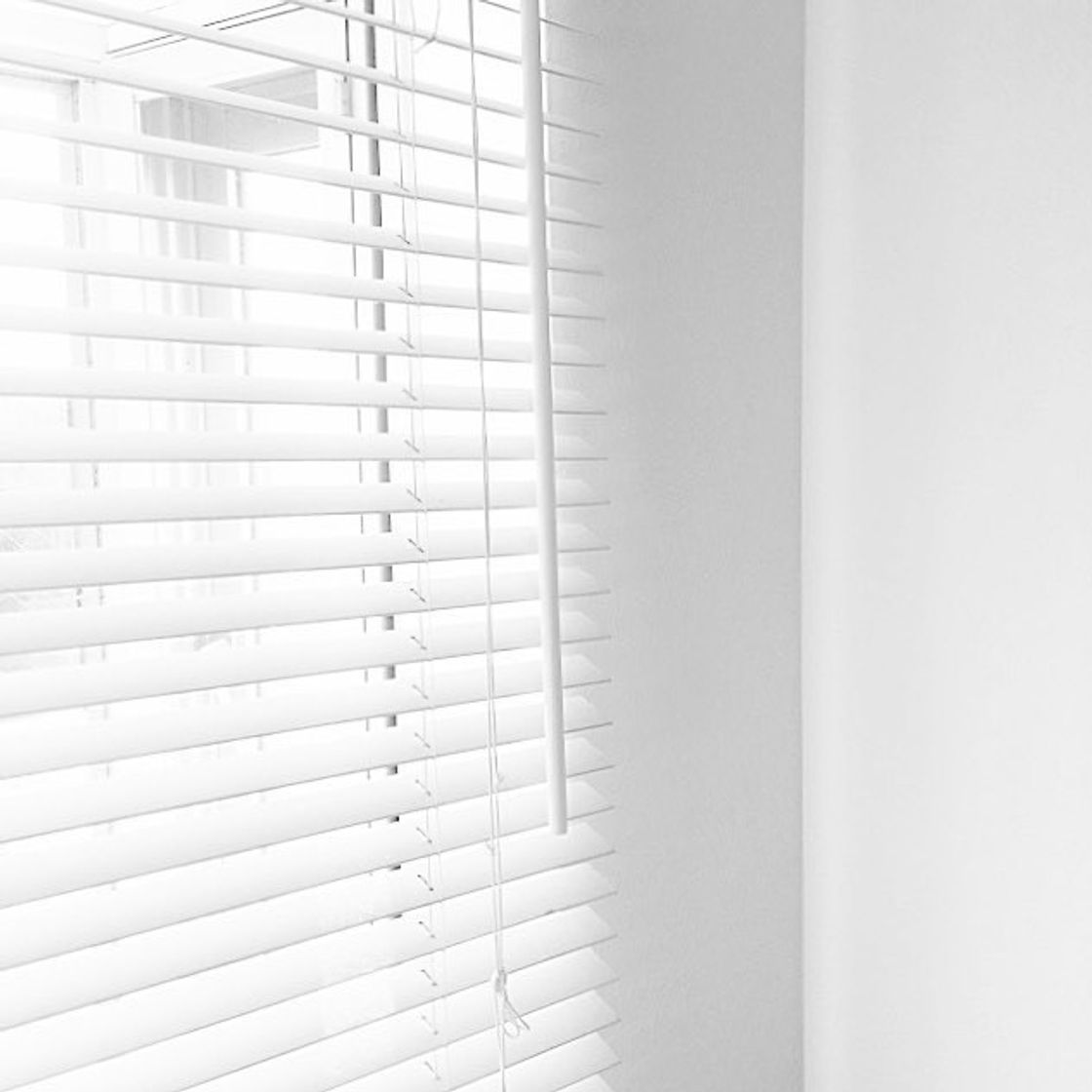 Social 𝑊ℎ𝑖𝑡𝑒 