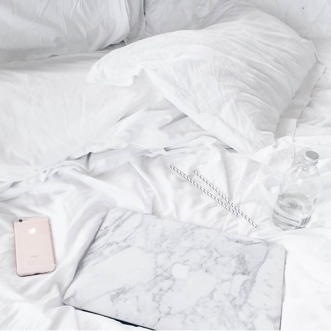 Social 𝑊ℎ𝑖𝑡𝑒 