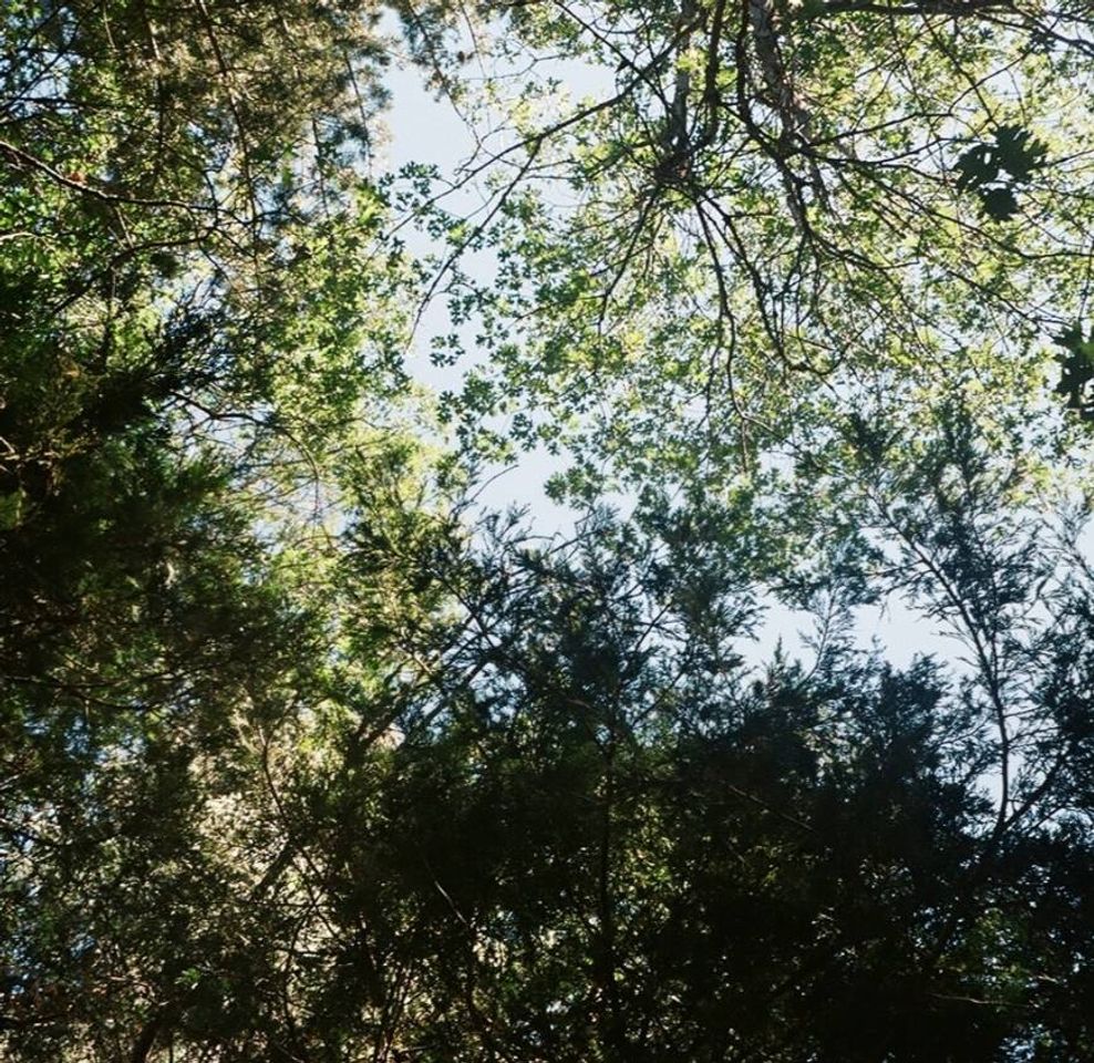 Canción In luv. 