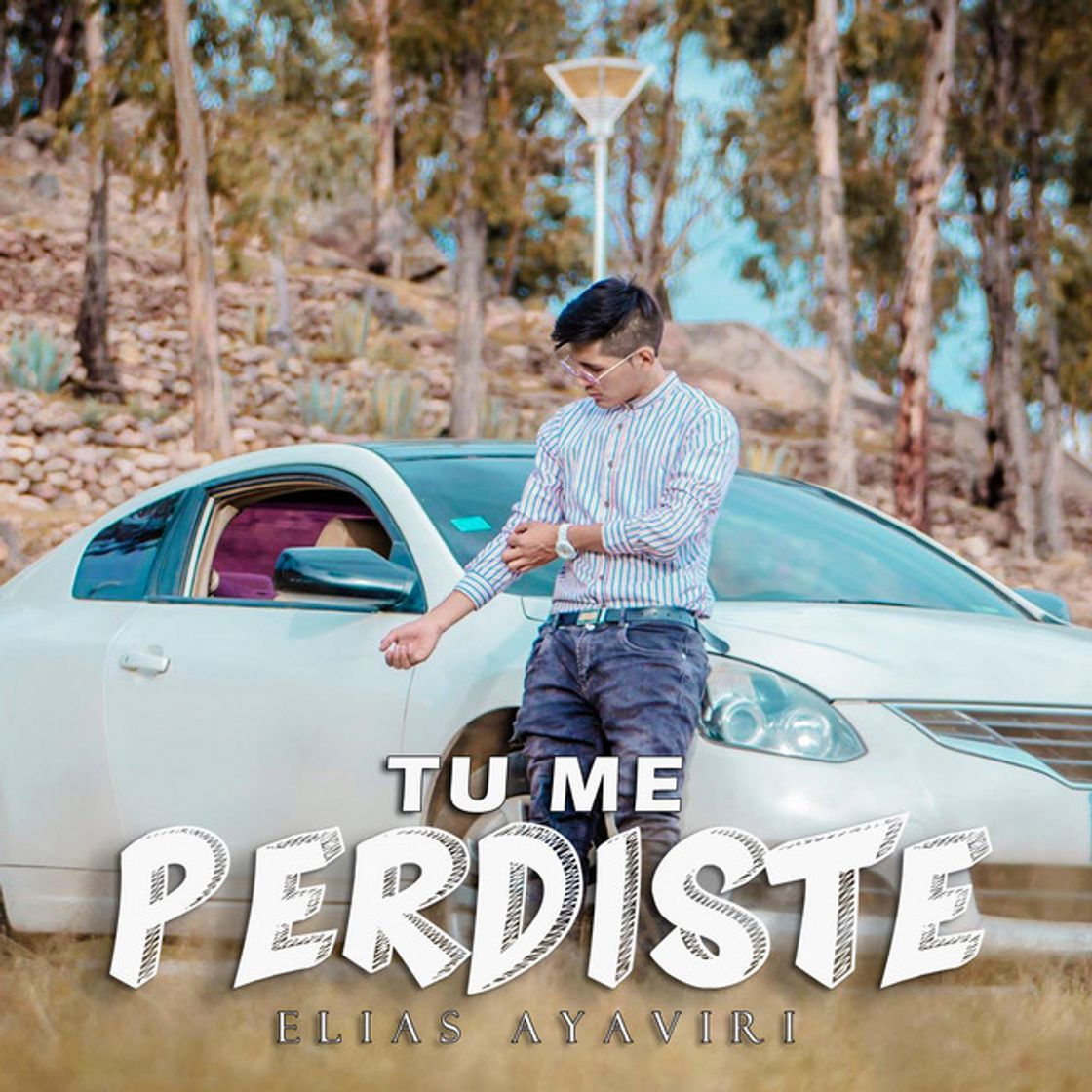 Canción Tu Me Perdiste