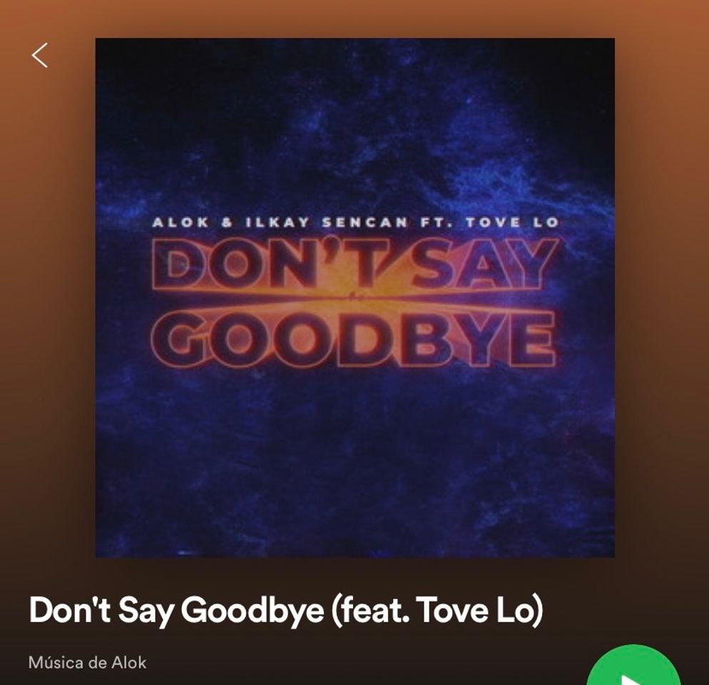 Music Don’t say goodbye - Alok 