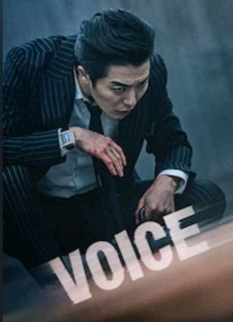 Serie 보이스 Voice 