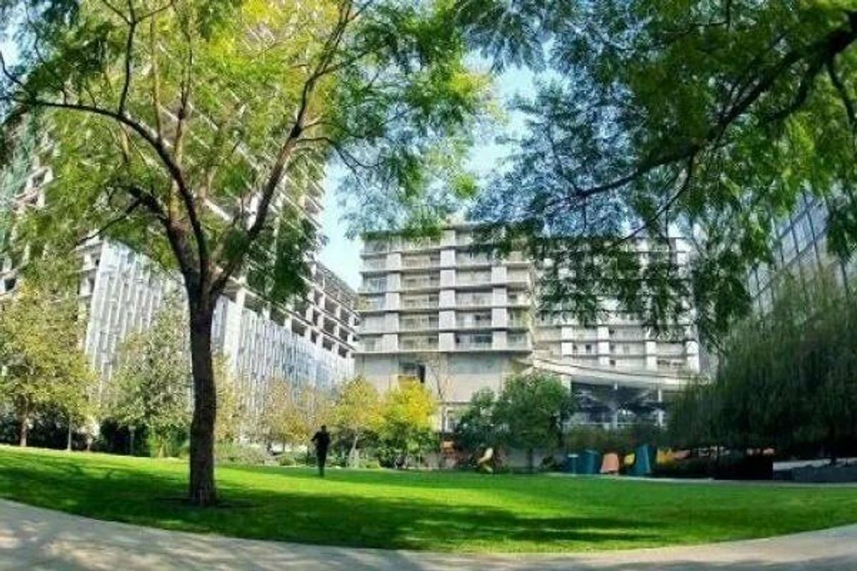 Lugar Parques Polanco