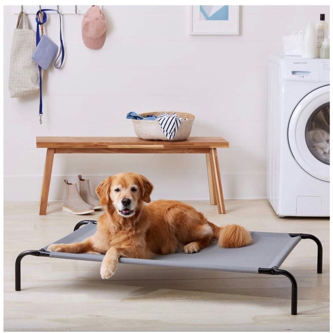 Product Cama para mascotas elevada 🐶 