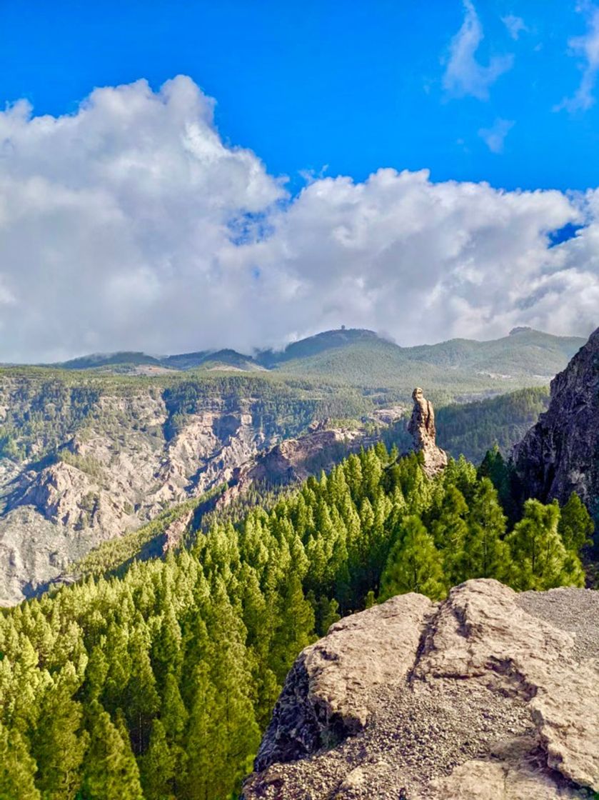 Place Roque Nublo