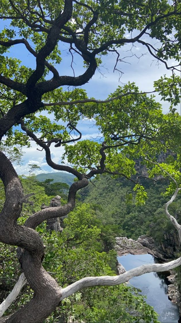 Lugar Chapada dos Veadeiros