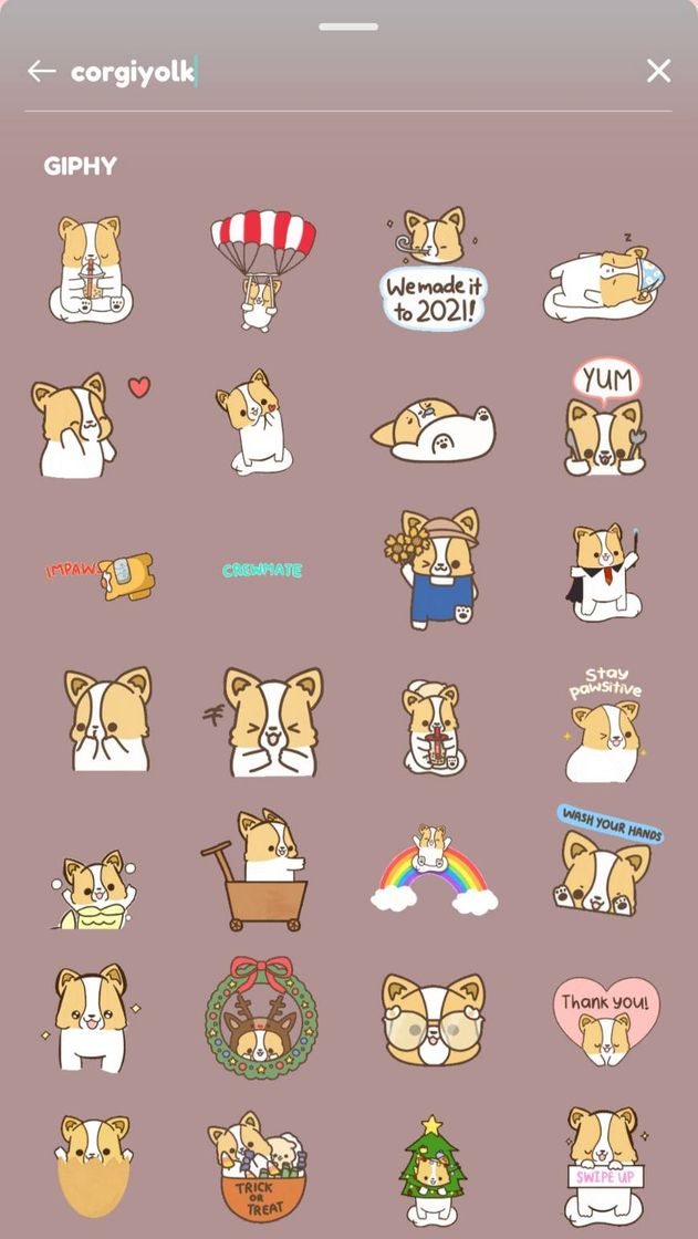 Moda GIFS @corgiyolk