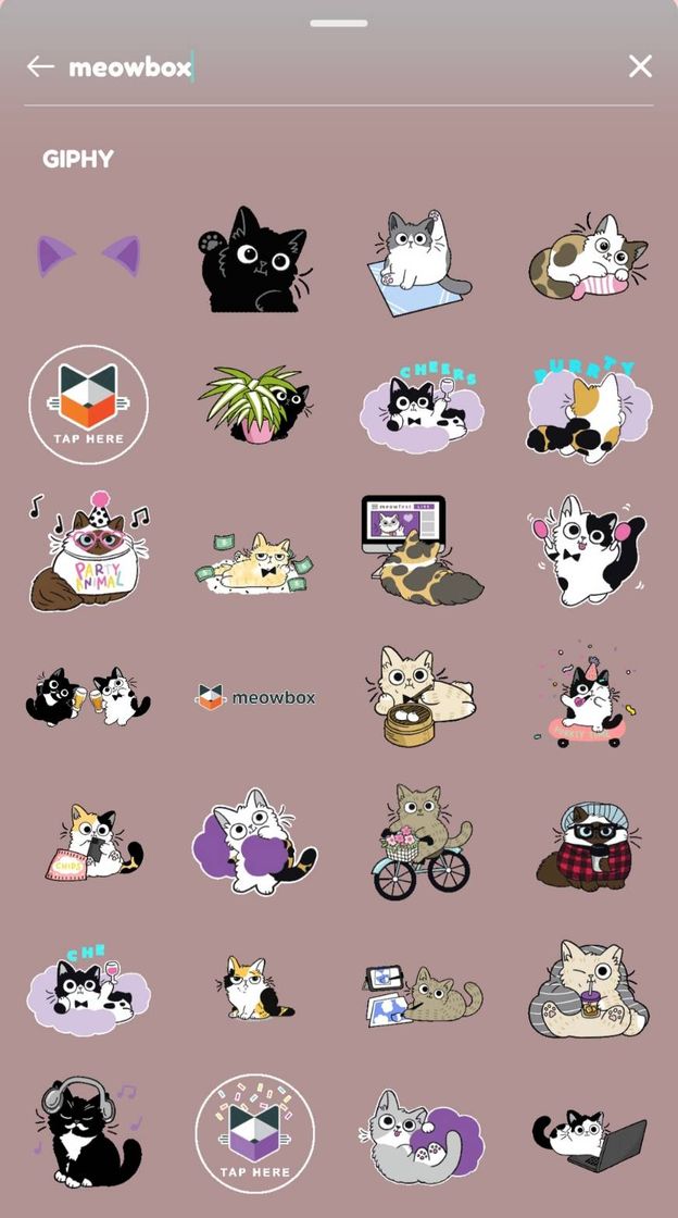 Moda GIFS @meowbox