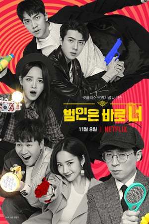 Serie Zoe: factor sorpresa