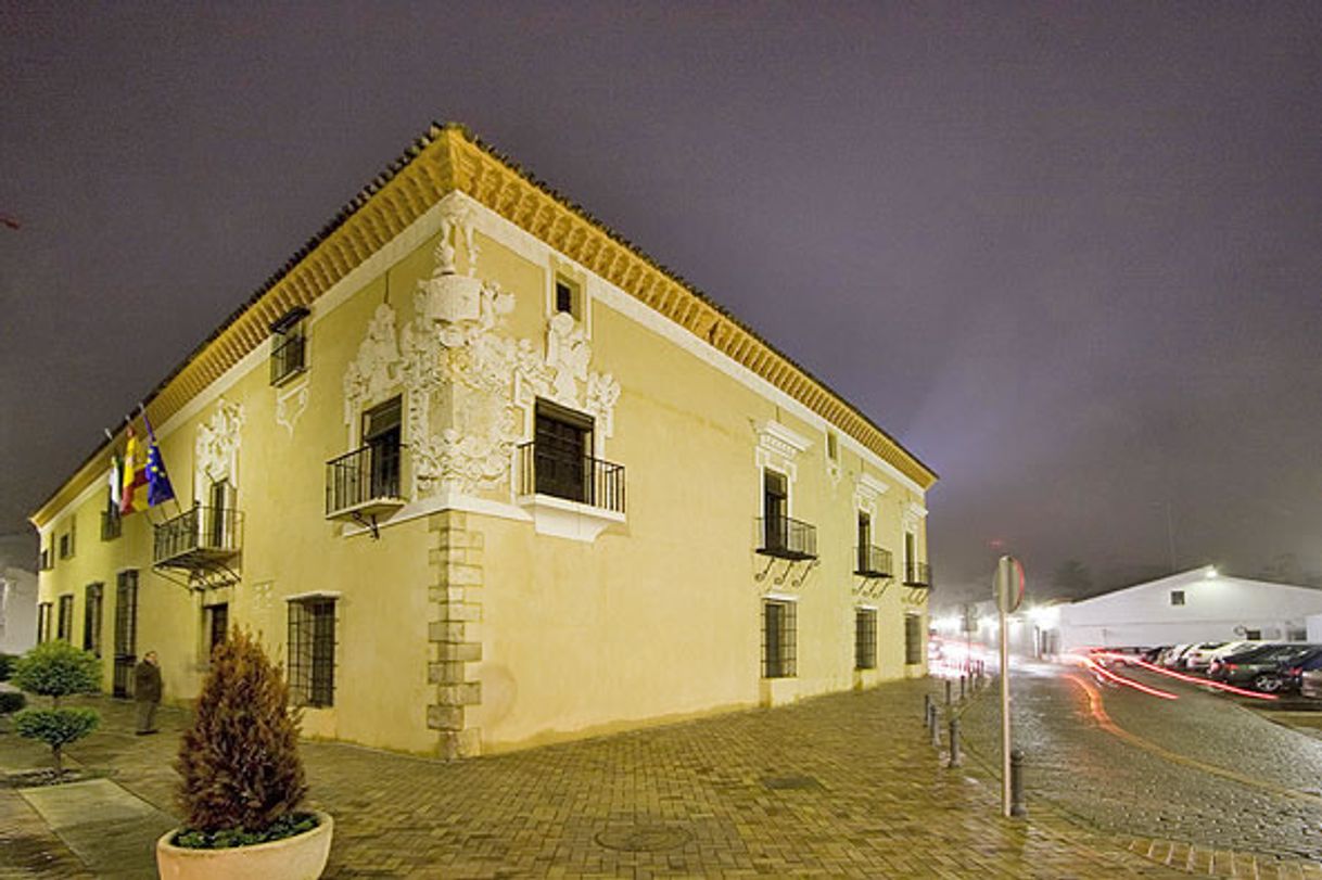 Place Palacio de Monsalud