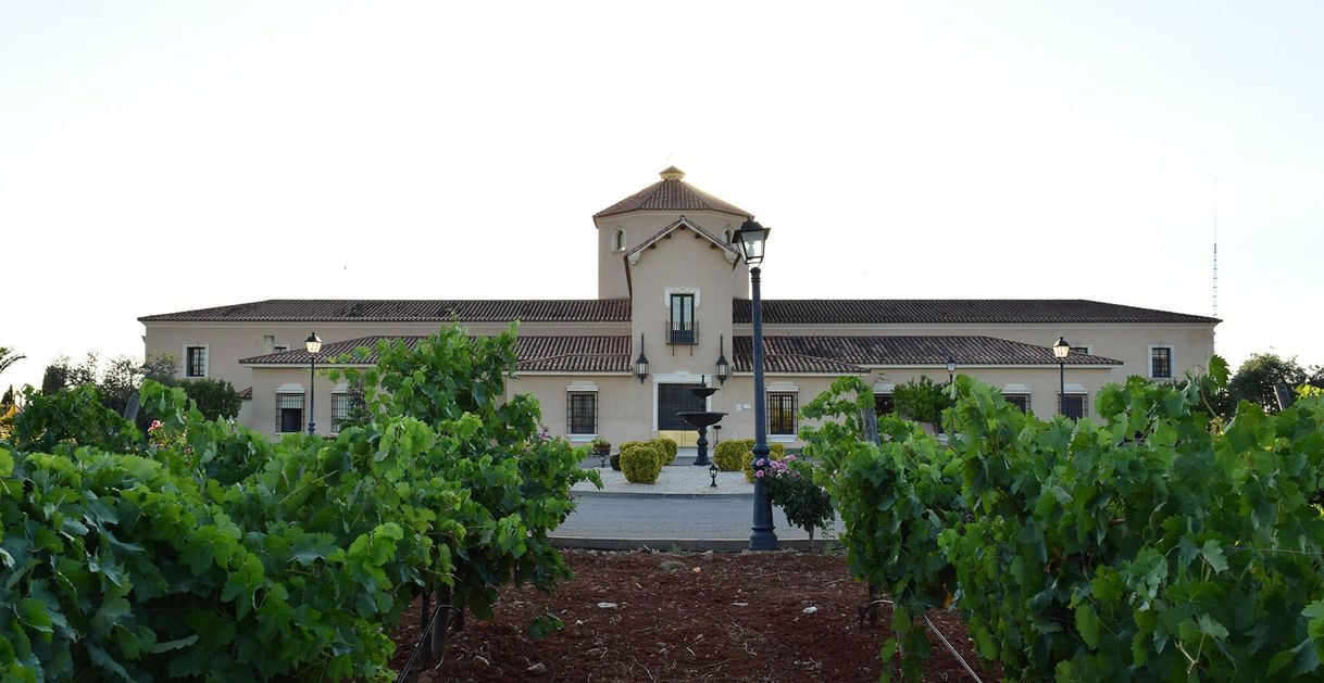 Place Bodegas Martínez Paiva