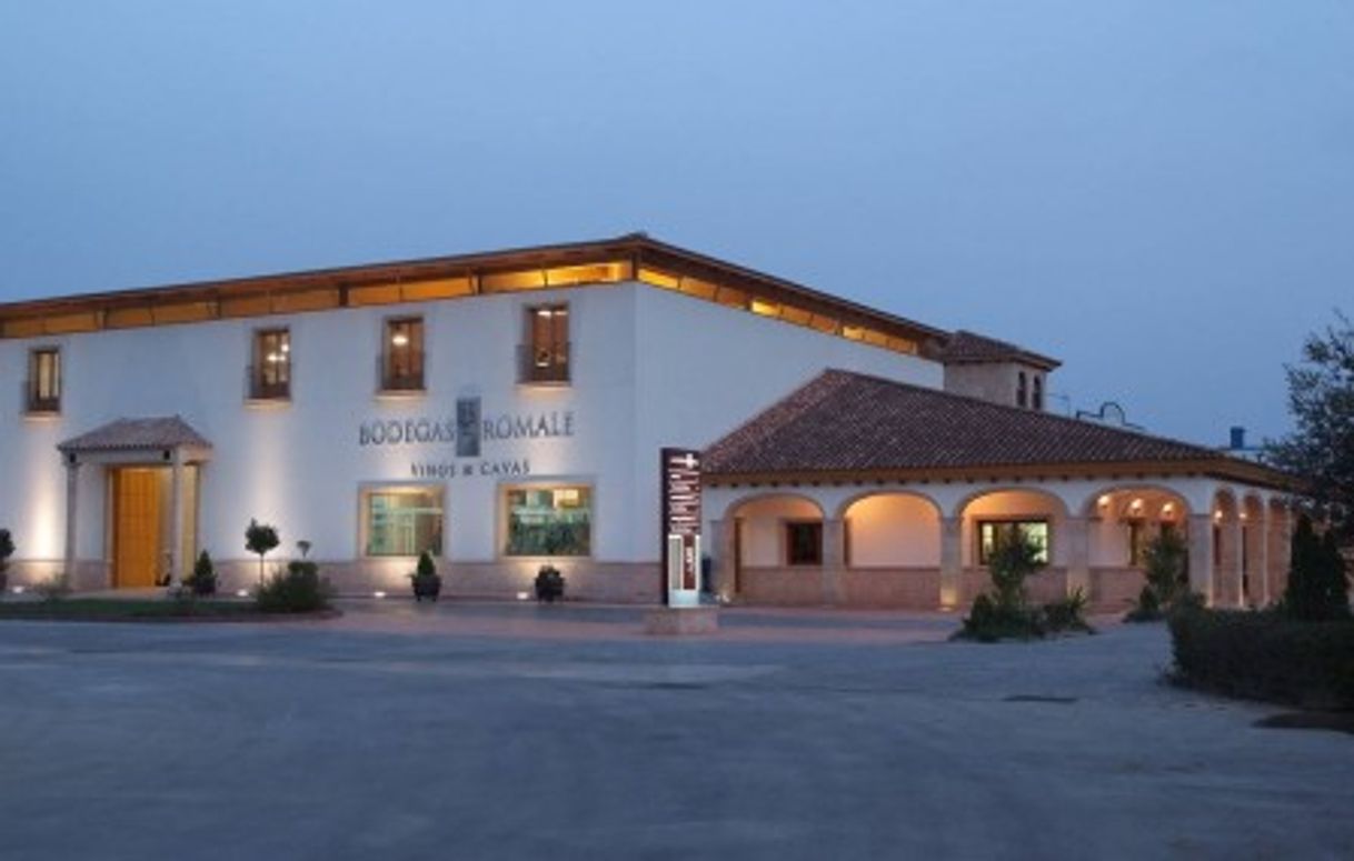 Place Bodegas Romale, S.L.