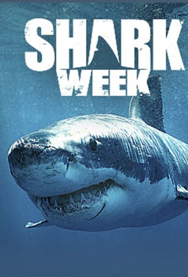Serie Shark Week